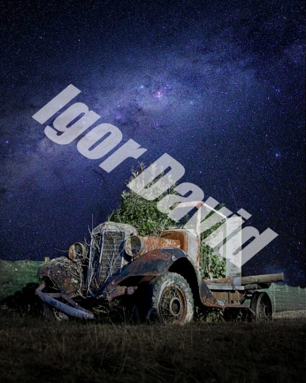 Old truck sitting in garden in Cable Bay New Zealand (South Island)
