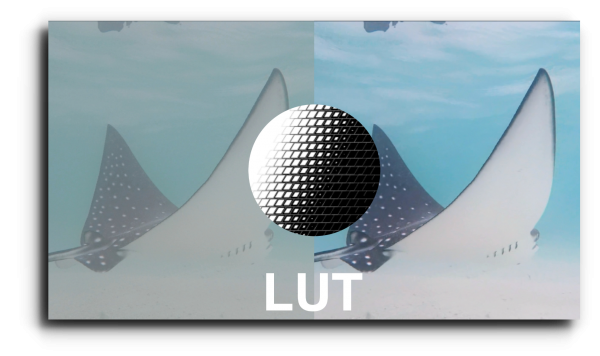 " Free Underwater Lut "